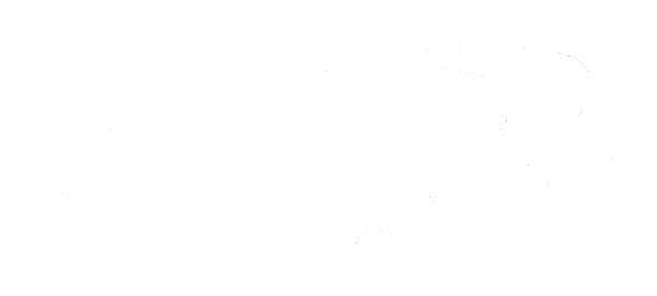 Capital One logo